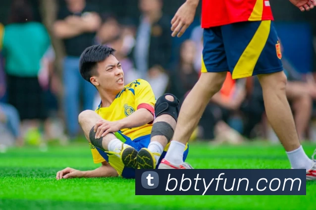 百博体育官网平台生态图