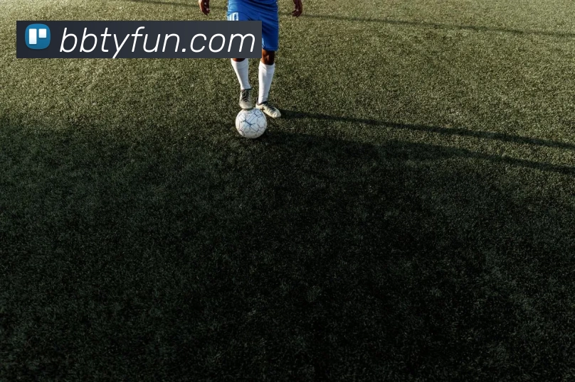 百博体育官网APP 封面图